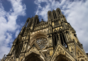 Toiletteur Reims